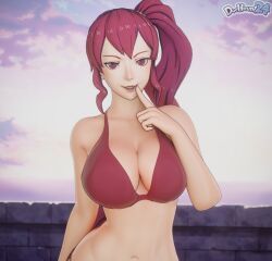 anna_(fire_emblem), anna_(fire_emblem:_three_houses), fire_emblem:_three_houses, dochaunt24, 1girls