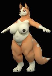 chilli_heeler, bluey_(series), 3_toes, 4_fingers, anthro