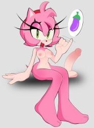 amy_rose, sega, sonic_the_hedgehog_(series), jisoogunn, accessory