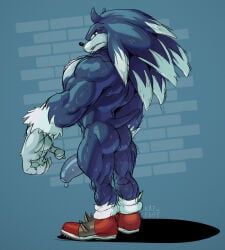sonic_the_werehog, sega, sonic_(series), sonic_the_hedgehog_(series), sonic_unleashed