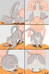 doggyshel, 4_toes, 5_fingers, ambiguous_penetration, anus
