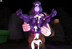 funky_kong, princess_shroob, donkey_kong_(series), mario_(series), mario_and_luigi:_partners_in_time