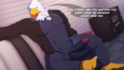 apollo_(animal_crossing), animal_crossing, nintendo, luvian_art, accipitrid