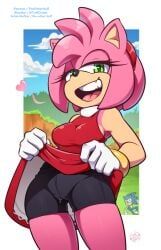 amy_rose, sonic_the_hedgehog, sega, sonic_(series), sonic_the_hedgehog_(series)