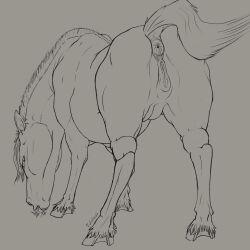 furvilous, anatomically_correct, anus, butt, equid