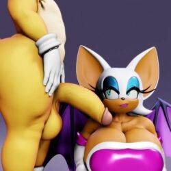 rouge_the_bat, rouge_the_bat_(vulkyasha), tails_the_fox, tails_the_fox_(vulkyasha), sonic_(series)