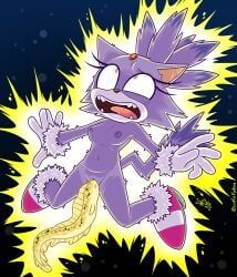 blaze_the_cat, sega, sonic_(series), sonic_rush, sonic_the_hedgehog_(series)