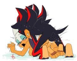 rouge_the_bat, shadow_the_hedgehog, sega, sonic_(series), sonic_the_hedgehog_(series)