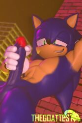 sonic_the_hedgehog, sega, sonic_(series), sonic_the_hedgehog_(series), thegoattest