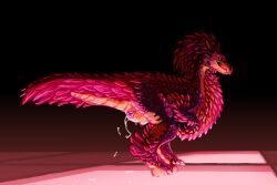 seikret, capcom, monster_hunter, universaldragon, animal_genitalia