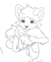 minishadefox, cub, furry, gay