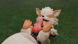 arcanine, generation_1_pokemon, pokemon_(species), rattata, nintendo