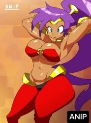 shantae_(character), shantae, wayforward, 1girls, animated_background