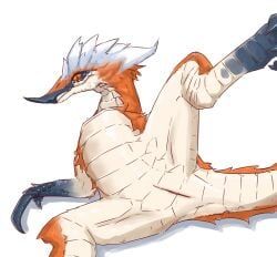 great_izuchi, capcom, monster_hunter, bird_wyvern, claws