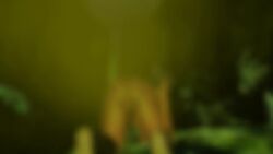 aerodynamics, 1girls, all_fours, anus, anus_close-up