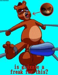 grizzle_(care_bears), care_bears, adultpartypunch, hyper, hyper_balls