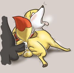 fennekin, pokemon_(species), nintendo, pokemon, suns