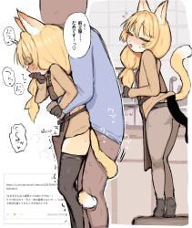 anon, stefvanian, 2boys, anal_sex, cat_boy