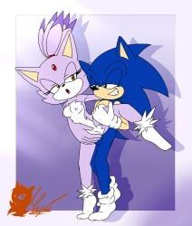 blaze_the_cat, sonic_the_hedgehog, sega, sonic_the_hedgehog_(series), meyk