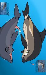1145_(artist), animal_genitalia, animal_penis, aquatic, bottlenose_dolphin