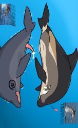 1145_(artist), animal_genitalia, animal_penis, aquatic, bottlenose_dolphin