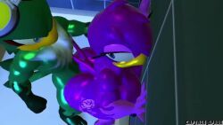 jet_the_hawk, wave_the_swallow, sega, sonic_(series), sonic_riders