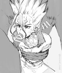 ishigami_senku, dr.stone, blowjob, gay, gay_blowjob