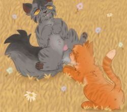 firestar_(warriors), graystripe_(warriors), warriors_(book_series), animal_genitalia, animal_penis