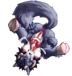 azu, yukocamicats, 5_fingers, animal_genitalia, animal_penis