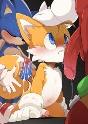 knuckles_the_echidna, sonic_the_hedgehog, tails_the_fox, team_sonic, sega