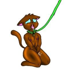 cat, femboy, kebab