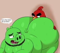 king_leonard_mudbeard, leonard_mudbeard, red_(angry_birds), angry_birds, rovio_entertainment