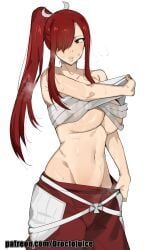 erza_scarlet, fairy_tail, dr_octojuice, elijahzx, 1girls