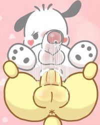 pochacco, pompompurin, sanrio, banned_artist, ahegao_face