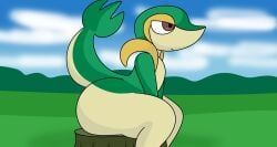 pokemon_(species), snivy, nintendo, pokemon, brappycatty