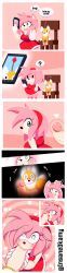 amy_rose, tails_doll, sonic_(series), sonic_the_hedgehog_(series), insane_okamy