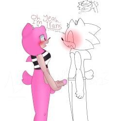 amy_rose, sonic_the_hedgehog, sonic_(series), sonic_the_hedgehog_(series), 1sus2person3