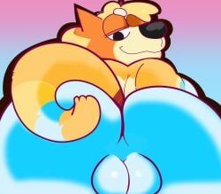 radley_heeler, bluey_(series), coccui, 1male, anthro