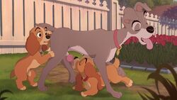 annette_(lady_and_the_tramp), collette_(lady_and_the_tramp), tramp, disney, lady_and_the_tramp