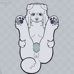 anthro, canine_genitalia, canine_pussy, cuntboy, dog