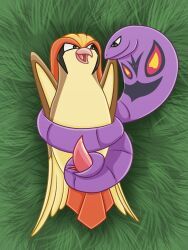 arbok, generation_1_pokemon, pidgeot, pokemon_(species), nintendo