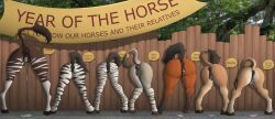 eland, saruuk, antelope, anthro, anus
