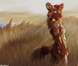 mouldirou, 5_fingers, african_wild_dog, anthro, athletic