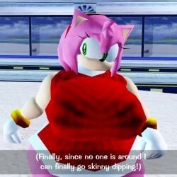 amy_rose, amy_rose_(vulkyasha), sega, sonic_(series), sonic_adventure