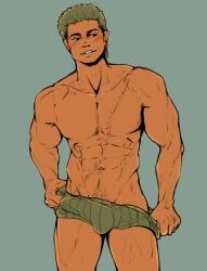roronoa_zoro, one_piece, auspizien, blushed_face, green_hair