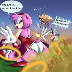 amy_rose, knuckles_the_echidna, miles_prower, sonic_the_hedgehog, sega