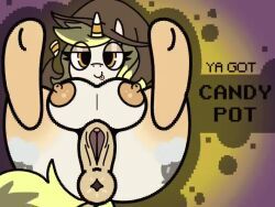 candy_pot_(oc), friendship_is_magic, my_little_pony, allicoot, female