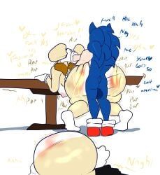 cream_the_rabbit, sonic_the_hedgehog, vanilla_the_rabbit, sonic_(series), sonic_the_hedgehog_(series)