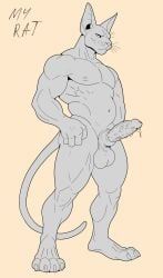 animal_genitalia, animal_penis, anthro, balls, belly