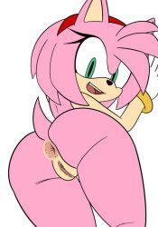 amy_rose, sonic_(series), sonic_the_hedgehog_(series), xenrevv, 1girls